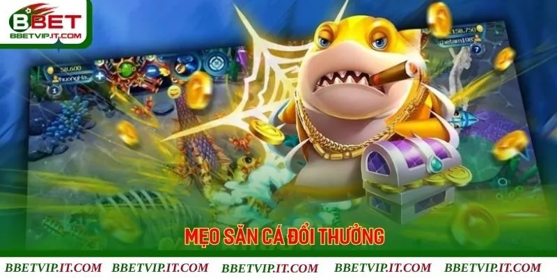 Các ưu điểm giúp Bbet được người chơi lựa chọn để giải trí