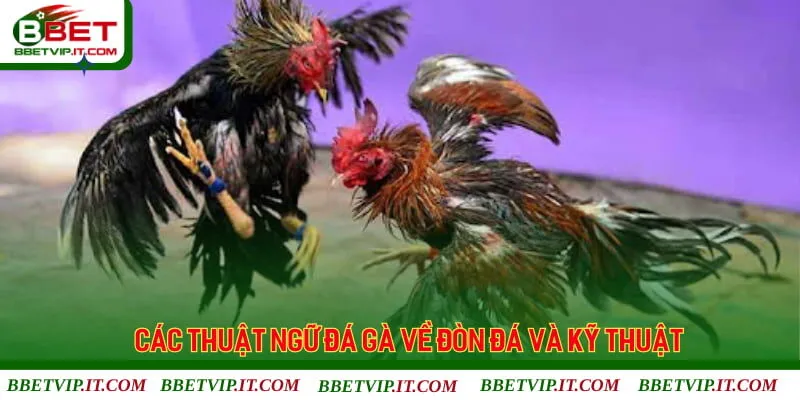 Các thuật ngữ trong đá gà dùng chỉ đòn đá và kỹ thuật đặc trưng