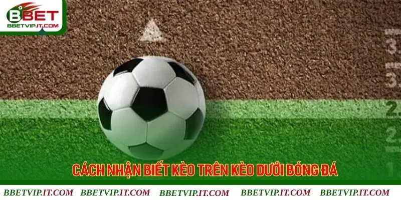 Thông tin giới thiệu về kèo trên kèo dưới chi tiết tại Bbet